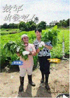 荒野搭伙记 户外真人秀
